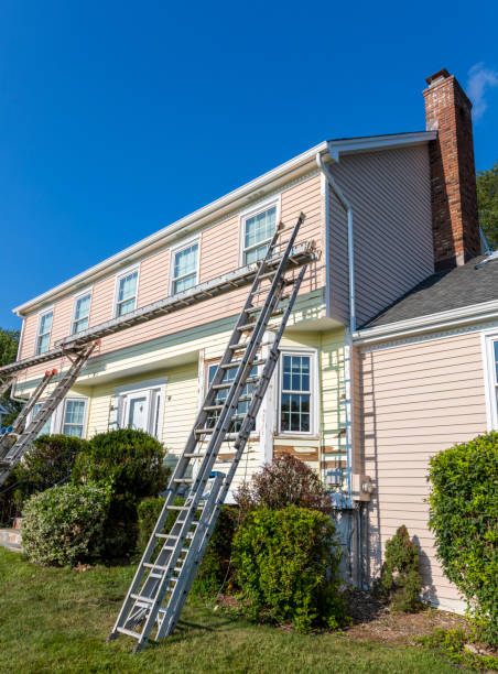 Best Hoarding Cleanup  in Verona, KY